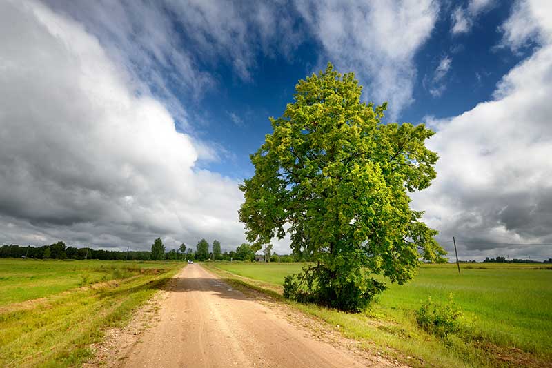 road